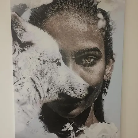 Dunavski Kej Apartament Nowy Sad